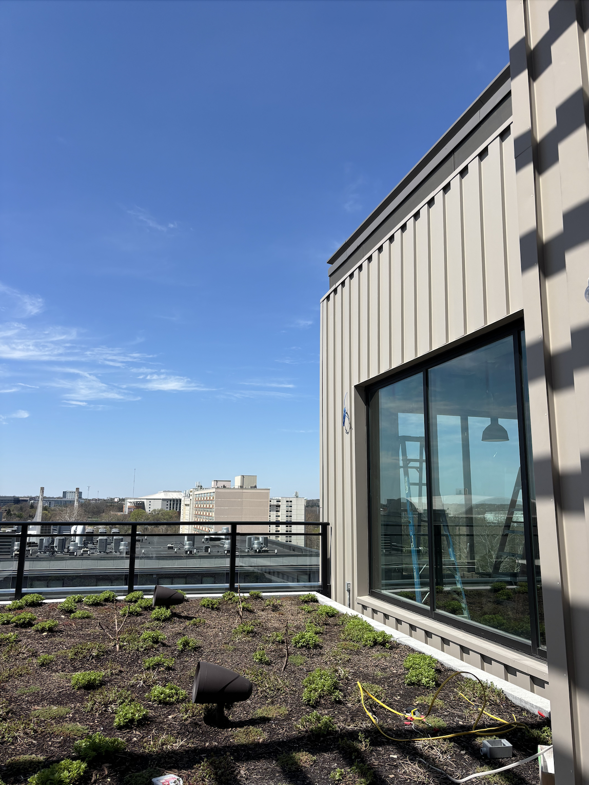 Rambler Columbus green roof plant installed. 